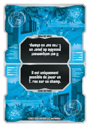 Carte Puzzle N°200