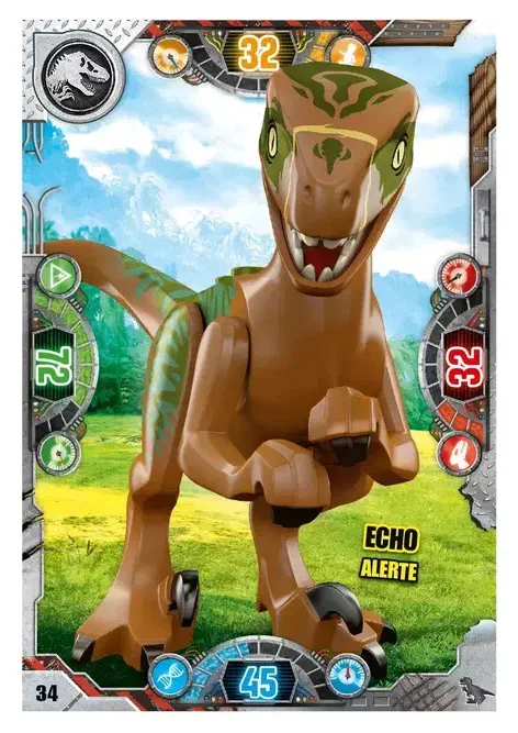Couverture de Echo alerte