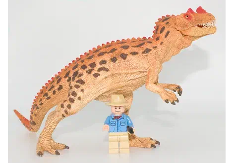 Couverture de Ceratosaurus