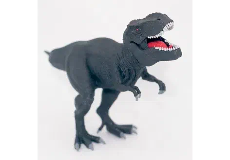 Couverture de Tyrannosaurus rex - Noir