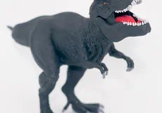 Couverture de Tyrannosaurus rex - Noir