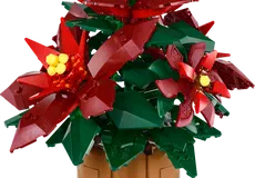 Couverture de Poinsettia