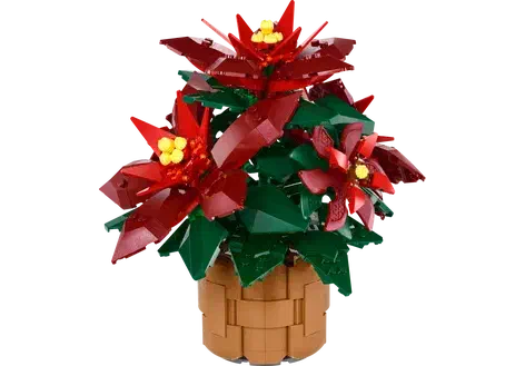 Couverture de Poinsettia