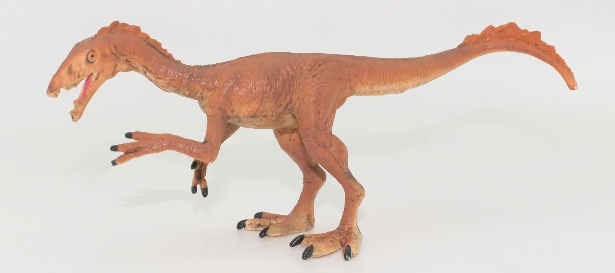 A modèle en plastique d'un dinosaure théropode orange debout sur fond blanc, la gueule ouverte montrant sa langue rose et ses griffes noires.