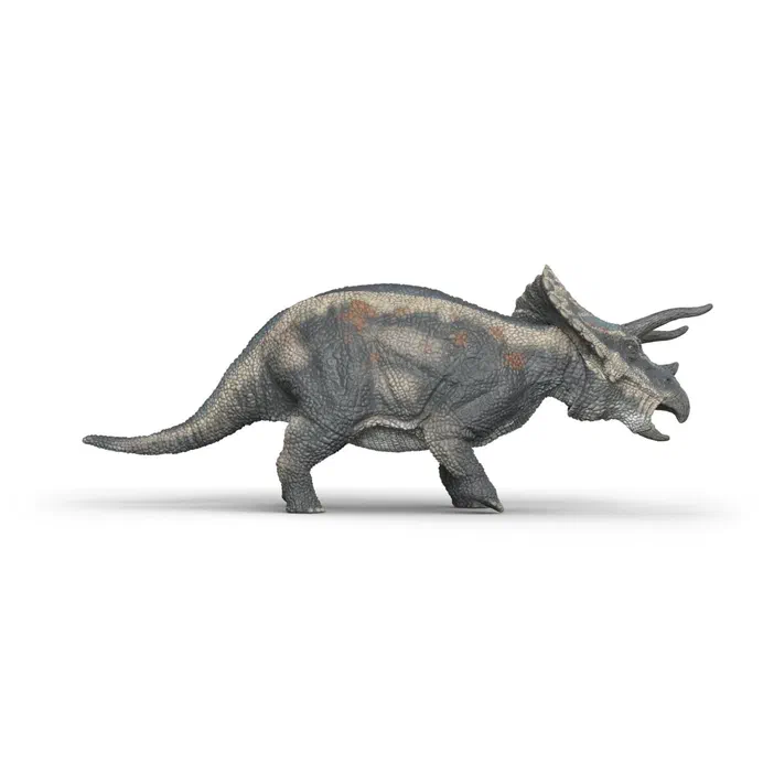 Modèle de dinosaure Tricératops gris avec des taches brunes sur le dos vu de profil sur fond blanc.