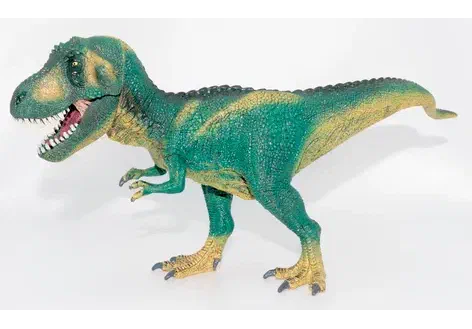 Couverture de Tyrannosaurus rex