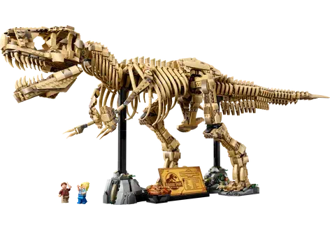 Couverture de Dinosaur Fossils: Tyrannosaurus Rex