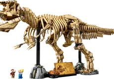 Couverture de Dinosaur Fossils: Tyrannosaurus Rex