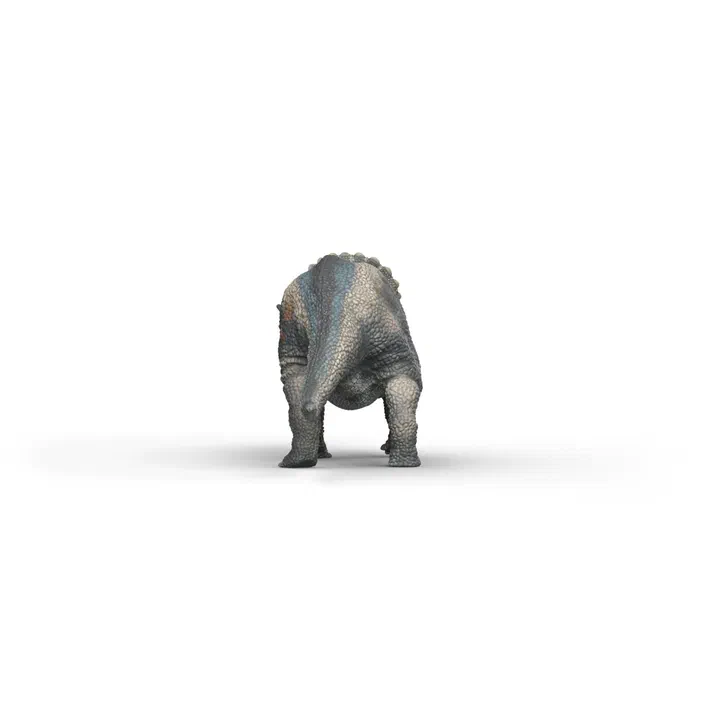 Modèle d'un dinosaure Tricératops vu par l'arrière sur fond blanc.