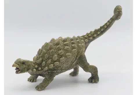 Couverture de Ankylosaurus
