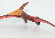 Couverture de Pteranodon