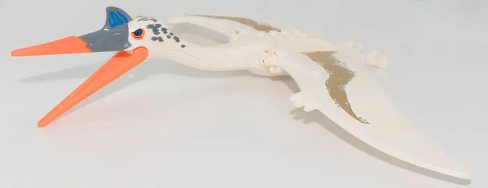 Mise en évidence des articulations du bec et de l'aile d'un dinosaure Quetz à la peau blanche, orange et grise.
