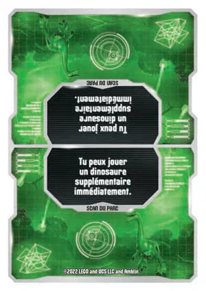 Carte Puzzle N°216