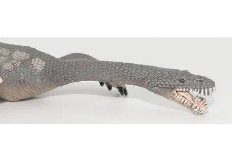 Couverture de Nothosaurus
