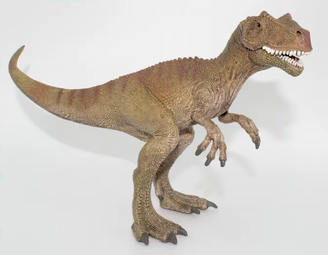 Un modèle de dinosaure T-Rex en plastique sur fond blanc.