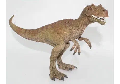 Couverture de Allosaurus