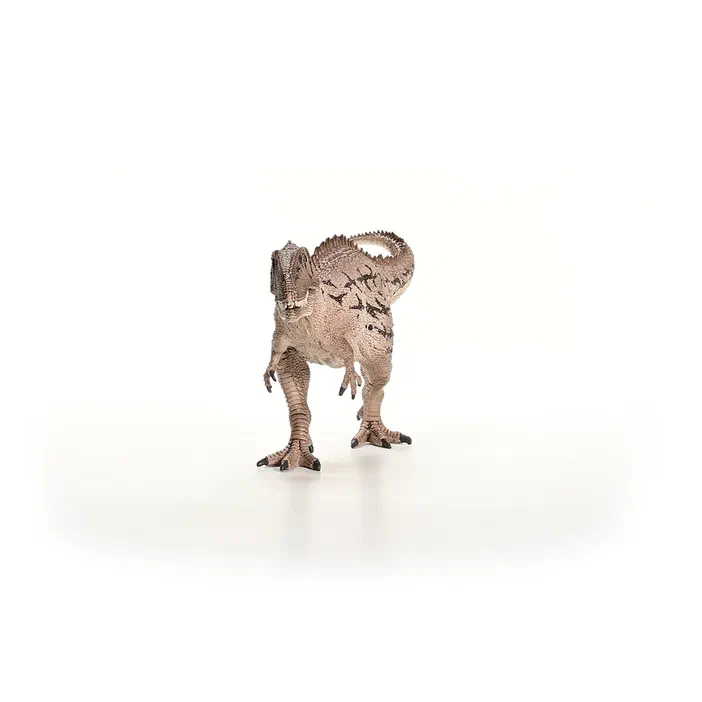 Poupée de dinosaure Carcharodontosaurus sur fond blanc