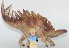 Couverture de Kentrosaurus