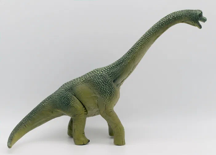 Un modèle de dinosaure vert à long cou et queue pointue sur fond blanc.