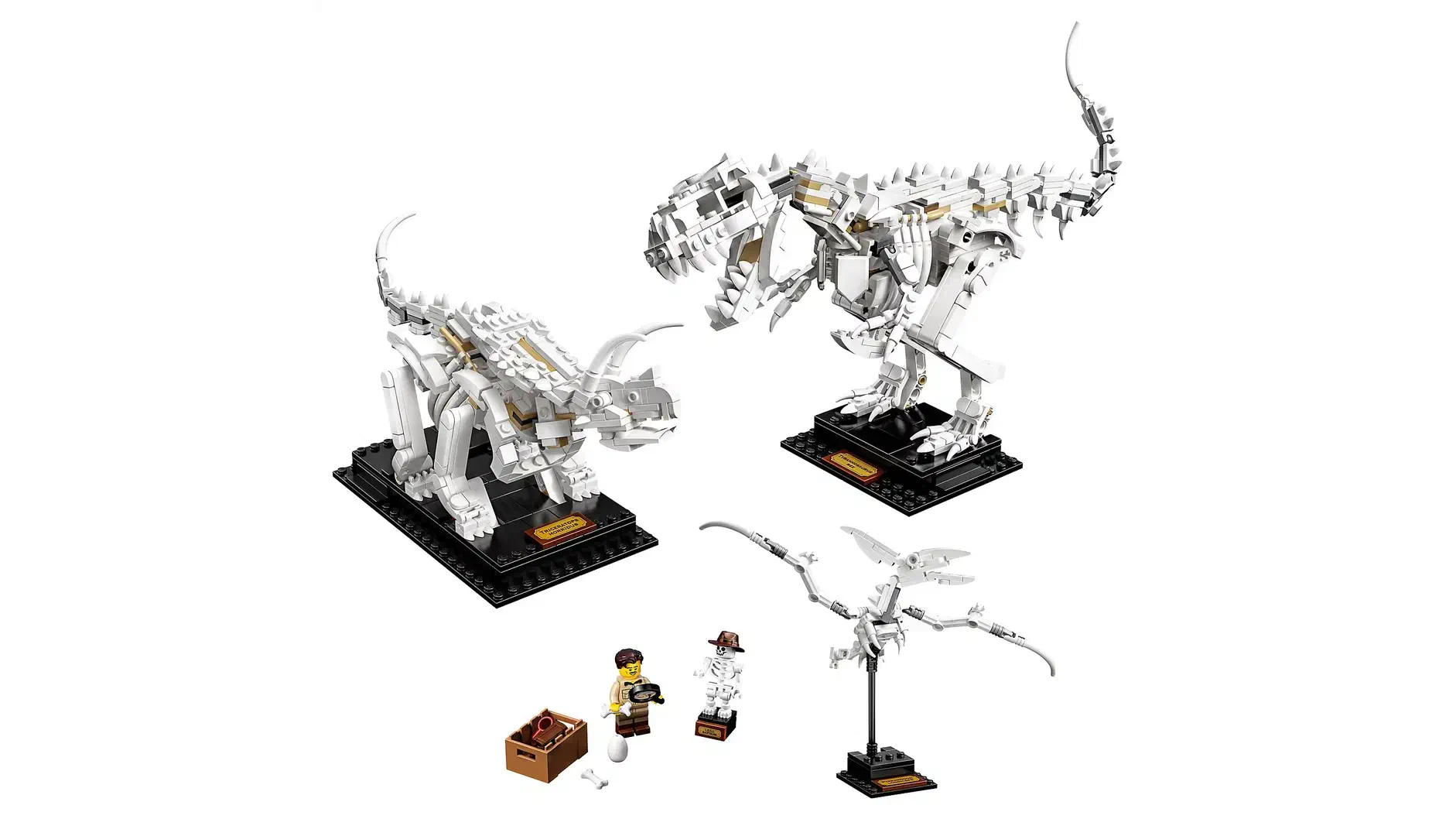 Vignette de LEGO et les dinosaures