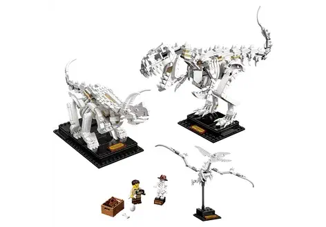 Couverture de Dinosaur Fossils
