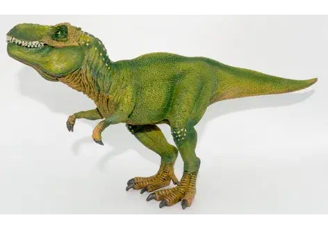 Couverture de Tyrannosaurus rex
