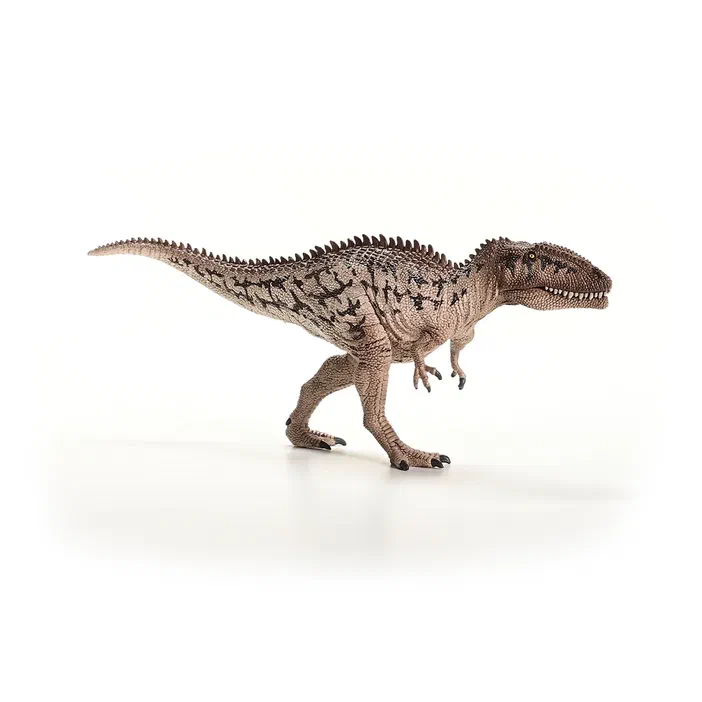 Figurine de dinosaure Carcharodontosaurus sur fond blanc.