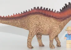 Couverture de Amargasaurus