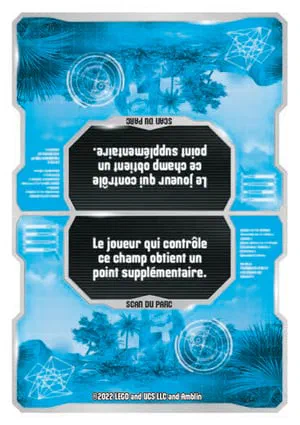 Carte Puzzle N°196