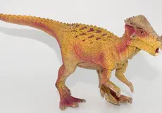 Couverture de Pachycephalosaurus