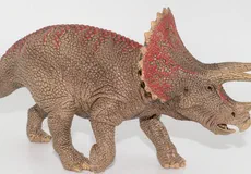 Couverture de Triceratops