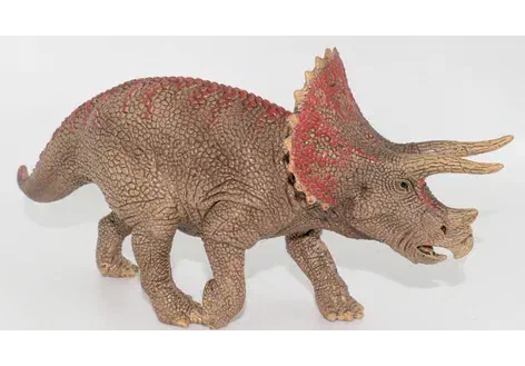 Couverture de Triceratops