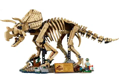 Couverture de Dinosaur Fossils: Triceratops