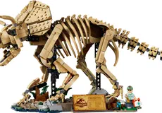 Couverture de Dinosaur Fossils: Triceratops
