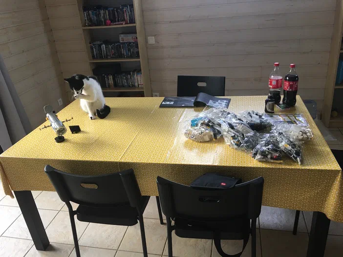 Un chat noir et blanc assis sur une table couverte d'un tissu jaune, entouré de pièces Lego dans des sacs transparents.