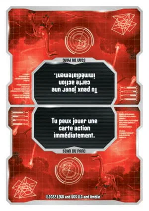 Carte Puzzle N°206