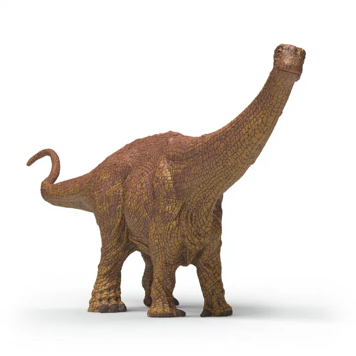 Un Brontosaurus en plastique de la marque Schleich sur fond blanc.