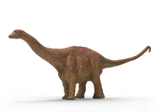 Couverture de Brontosaurus