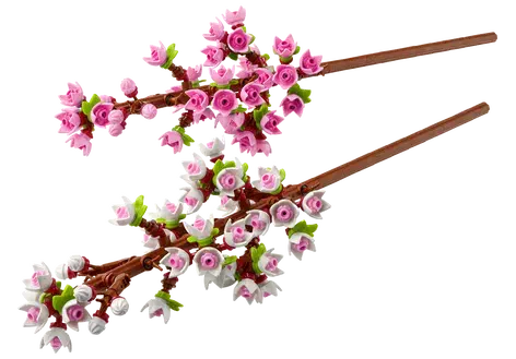 Couverture de Cherry Blossoms