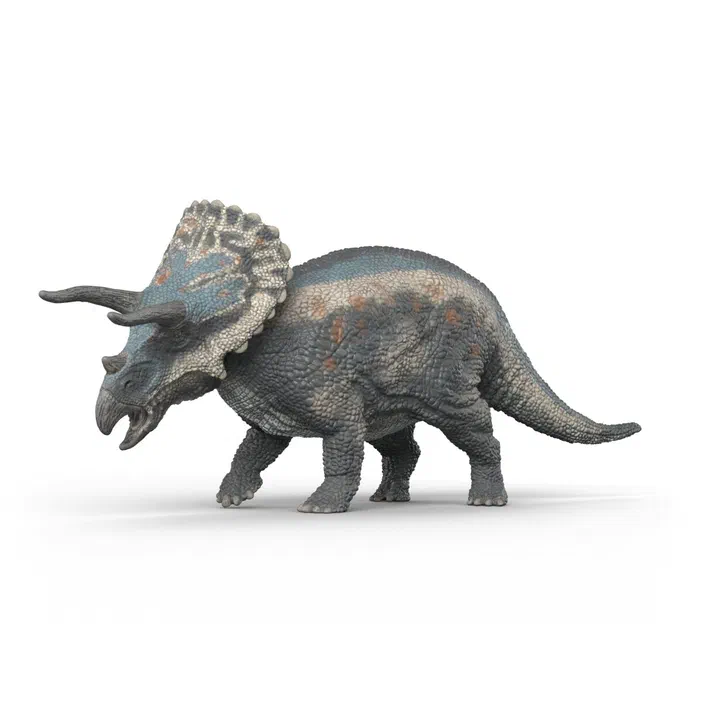 Modèle de tricératops gris avec des taches brunes sur un fond blanc.