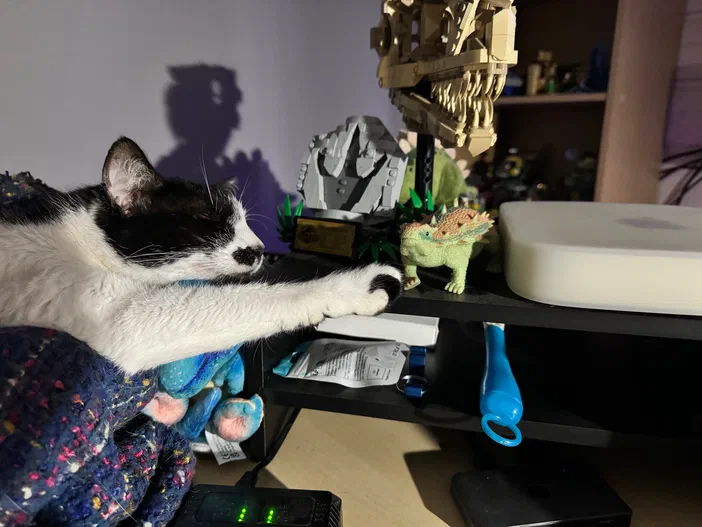 Un chat noir et blanc allongé sur un meuble, tendant sa patte vers une figurine de dinosaure vert LEGO Jurassic World.
