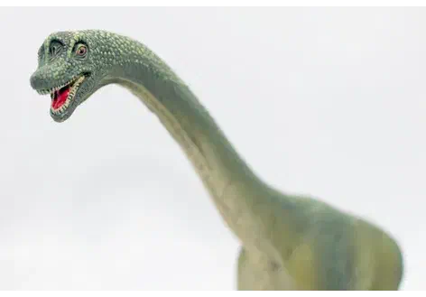 Couverture de Brachiosaurus