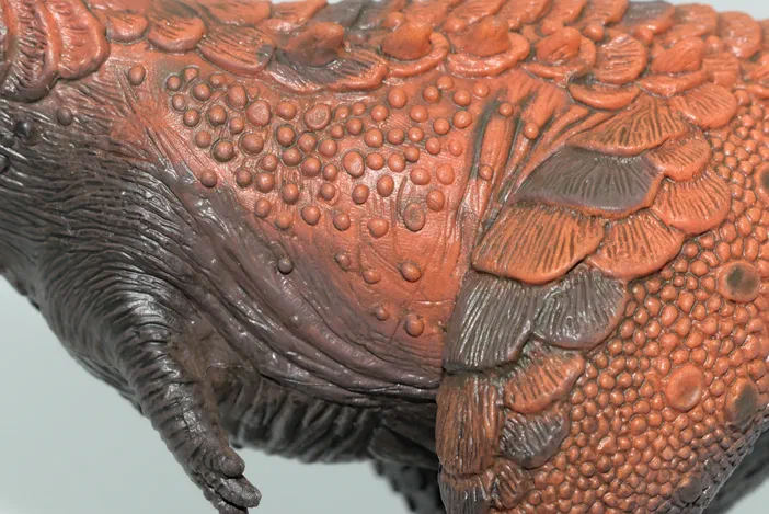 Gros plan sur le dos d'un dinosaure en plastique montrant des écailles et une texture de peau détaillée.