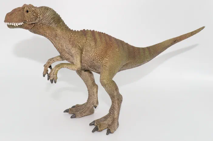 Modèle de dinosaure T-Rex en position debout sur fond blanc.