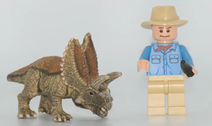 Un dinosaure tricératops en plastique et un minifigurine LEGO portant un chapeau beige.