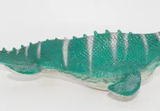 Couverture de Mosasaurus