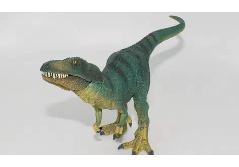 Couverture de Jeune Tyrannosaurus rex