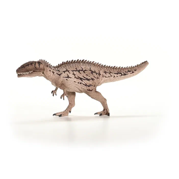 Figurine de dinosaure Carcharodontosaurus avec des motifs noirs sur un fond blanc.