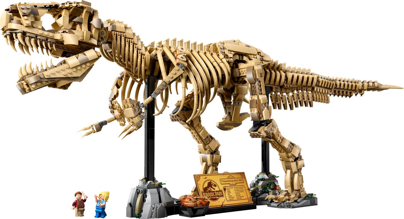 Dinosaur Fossils: Tyrannosaurus Rex