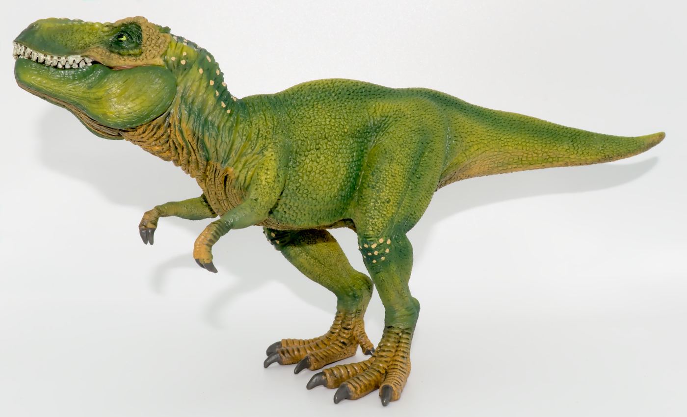 Tyrannosaurus rex